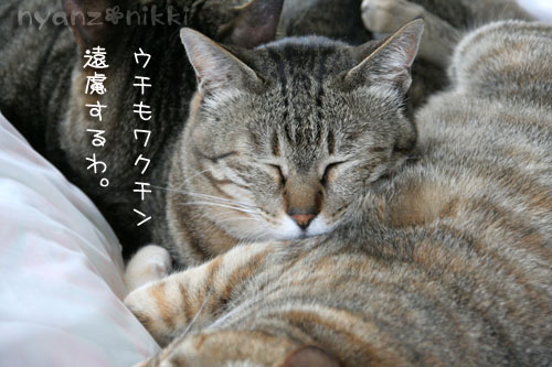 悩ましいワクチン接種_d0355333_15010434.jpg