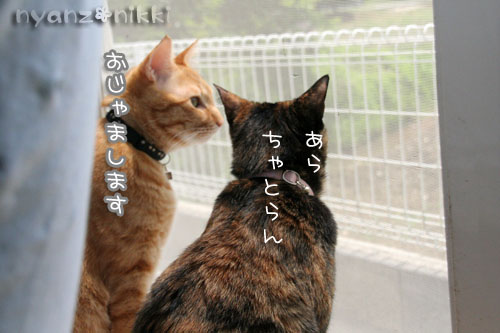 あいさつ運動_d0355333_15010580.jpg