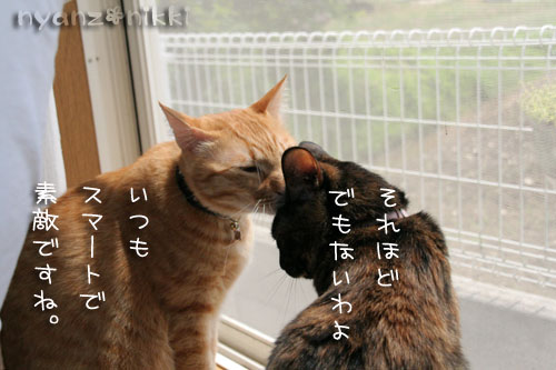 あいさつ運動_d0355333_15010605.jpg