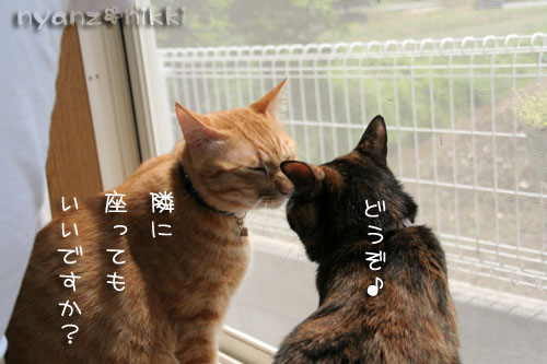 あいさつ運動_d0355333_15010662.jpg
