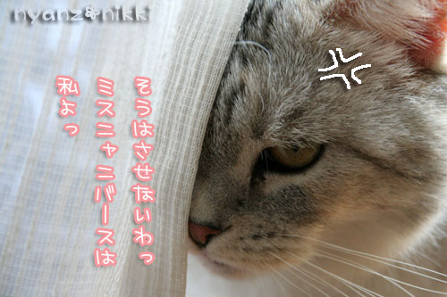 あいさつ運動_d0355333_15010735.jpg