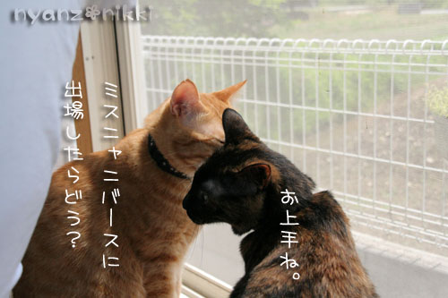 あいさつ運動_d0355333_15010798.jpg