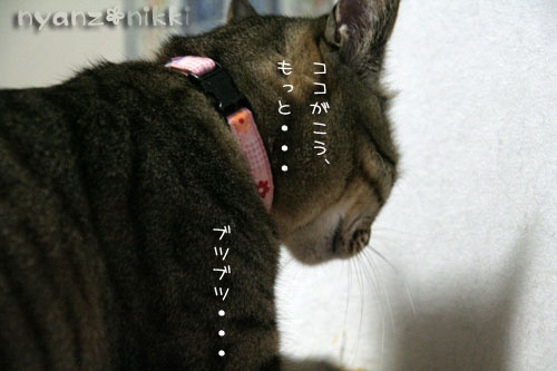 整いましたか?_d0355333_15010918.jpg