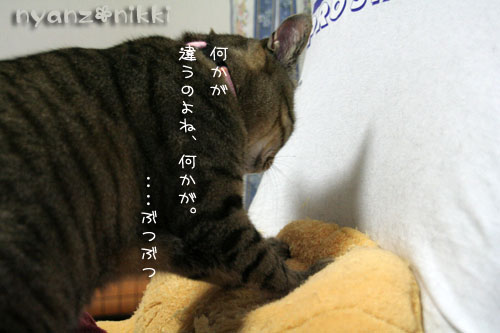 整いましたか?_d0355333_15010987.jpg