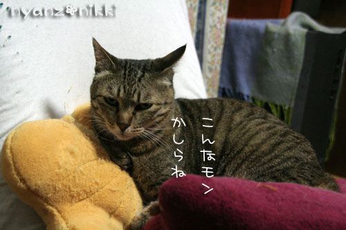 整いましたか?_d0355333_15011168.jpg