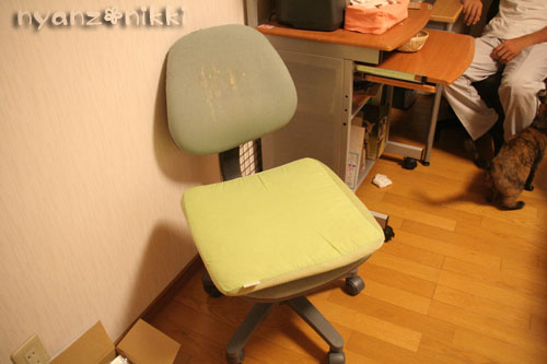 新しい椅子がきたよ!_d0355333_15011211.jpg