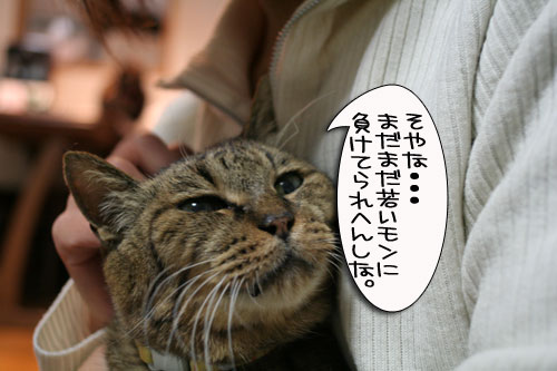 新しい椅子がきたよ!_d0355333_15011443.jpg