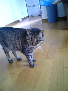 おいしいよ!_d0355333_15011603.jpg