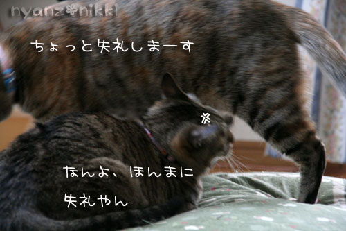 コラボ企画♪ララ×笑子_d0355333_15013042.jpg
