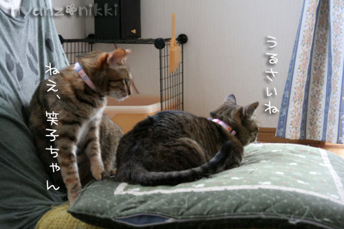 コラボ企画♪ララ×笑子_d0355333_15013189.jpg