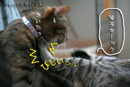 コラボ企画♪ララ×笑子_d0355333_15013205.jpg