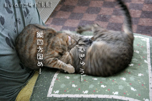 コラボ企画♪ララ×笑子_d0355333_15013305.jpg