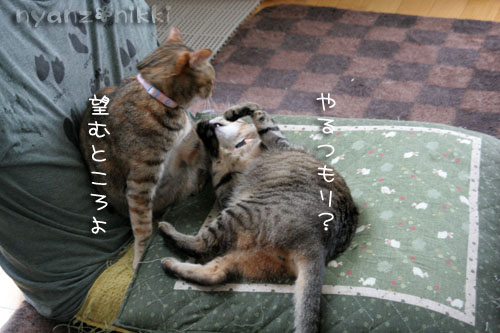 コラボ企画♪ララ×笑子_d0355333_15013323.jpg