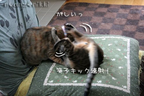 コラボ企画♪ララ×笑子_d0355333_15013398.jpg