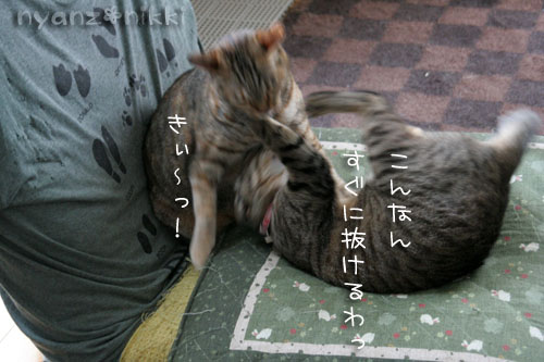 コラボ企画♪ララ×笑子_d0355333_15013536.jpg