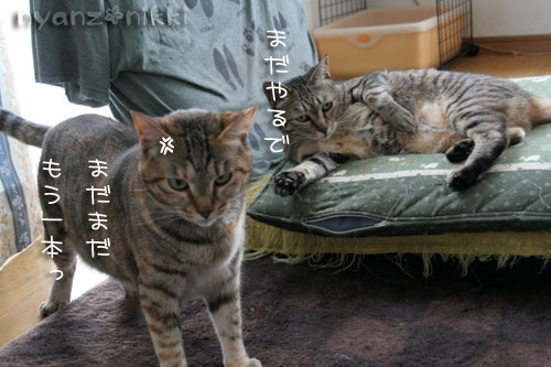 コラボ企画♪ララ×笑子_d0355333_15013560.jpg