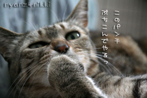 コラボ企画♪ララ×笑子_d0355333_15013602.jpg