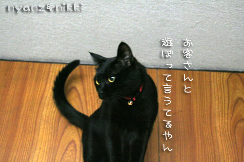 さすけ&くろすけは名コンビ_d0355333_15014440.jpg
