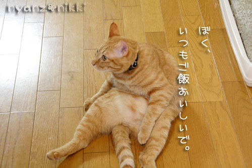 ダイエットちう_d0355333_15020624.jpg