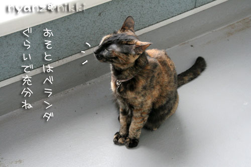 りぼんちゃん保護顚末記完結編&お得なコラボ企画_d0355333_15020692.jpg