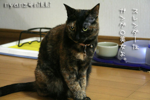 ダイエットちう_d0355333_15020982.jpg