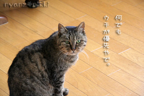 みおちゃん優先_d0355333_15021084.jpg