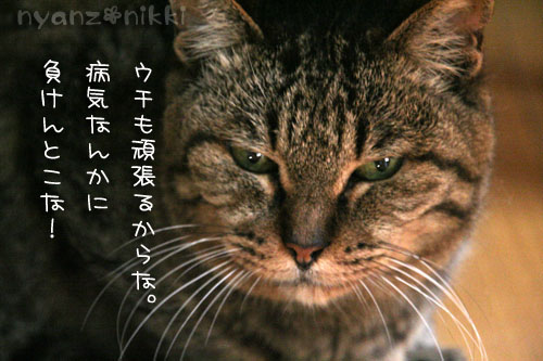 癌に負けない友人とワンレンちびっ子の命名_d0355333_15021546.jpg