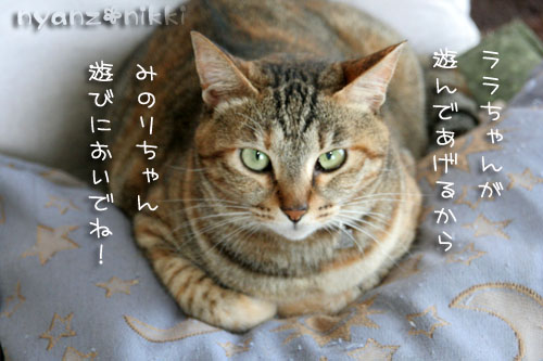 癌に負けない友人とワンレンちびっ子の命名_d0355333_15021579.jpg