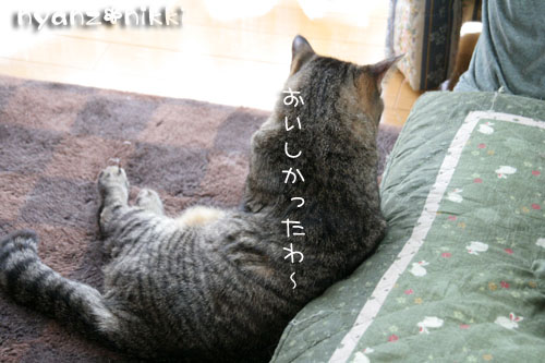 犯にゃんは誰だ★またかよ!_d0355333_15021630.jpg