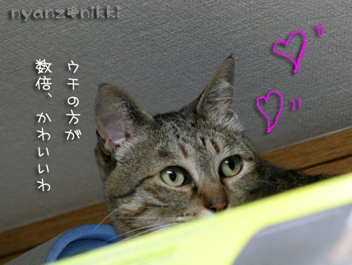 あたしの場所よ!_d0355333_15023921.jpg