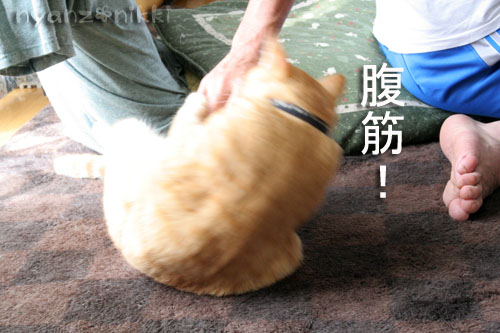 台風が来るぞっ_d0355333_15024297.jpg
