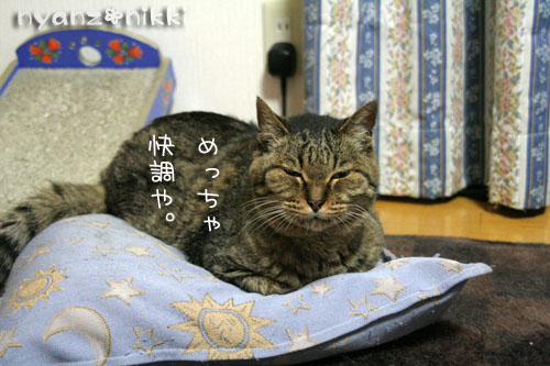 そろそろお年頃?_d0355333_15024850.jpg