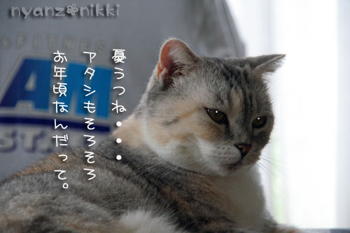 そろそろお年頃?_d0355333_15024866.jpg