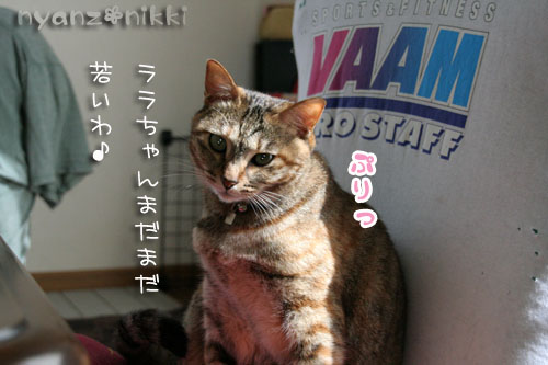 そろそろお年頃?_d0355333_15024996.jpg