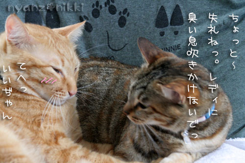 お調子者~!_d0355333_15025080.jpg