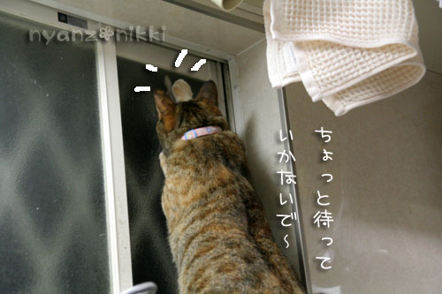 夜のお客さま_d0355333_15030258.jpg