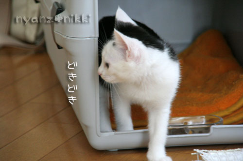みのりんと新しいお友達_d0355333_15030443.jpg