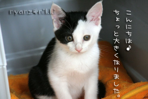 みのりんと新しいお友達_d0355333_15030466.jpg