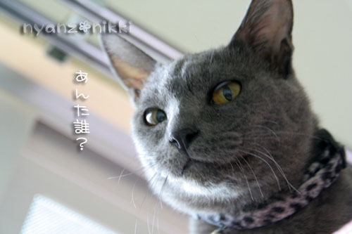 みのりんと新しいお友達_d0355333_15030581.jpg