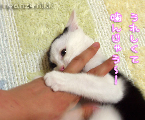 みのりちゃんから嬉しいお知らせ!_d0355333_15030942.jpg