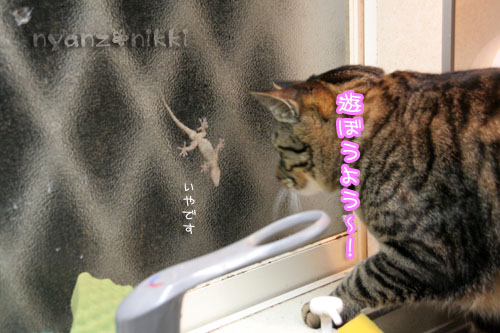 みのりちゃんから嬉しいお知らせ!_d0355333_15031139.jpg