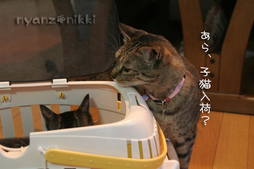お待たせしました★続き♪_d0355333_15032830.jpg