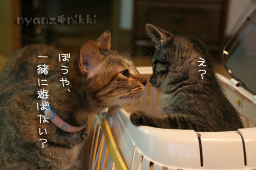 お待たせしました★続き♪_d0355333_15032908.jpg