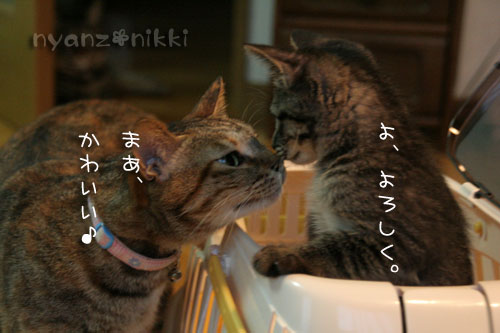 お待たせしました★続き♪_d0355333_15032928.jpg