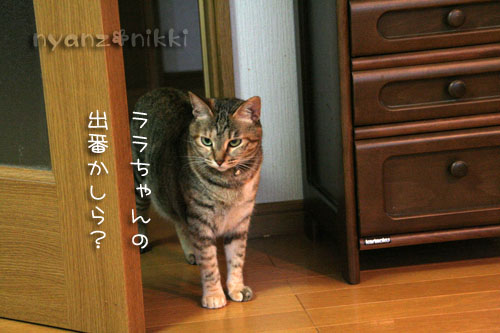 お待たせしました★続き♪_d0355333_15032935.jpg