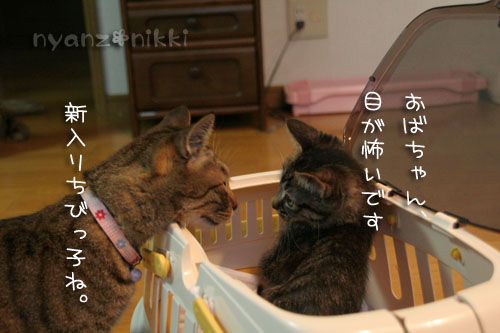 お待たせしました★続き♪_d0355333_15032962.jpg