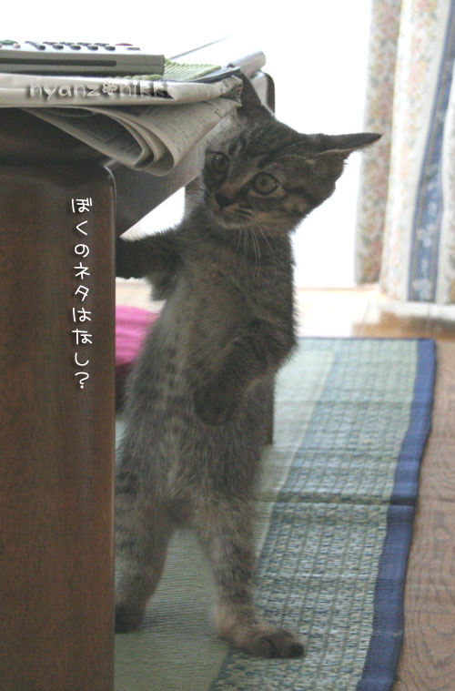 みのりちゃんお試し期間へ&あきらくんの紹介~_d0355333_15033205.jpg