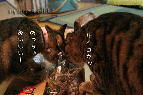 今晩は煮干パーティ♪♪_d0355333_15035098.jpg