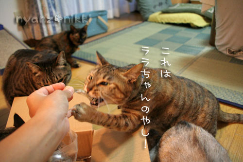 今晩は煮干パーティ♪♪_d0355333_15035238.jpg