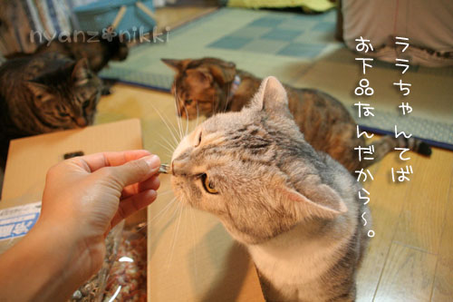 今晩は煮干パーティ♪♪_d0355333_15035324.jpg